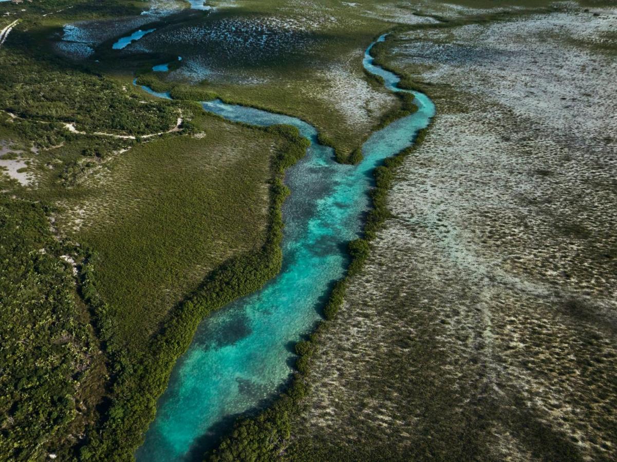 Como Parrot Cay Sandy Point Eksteriør billede