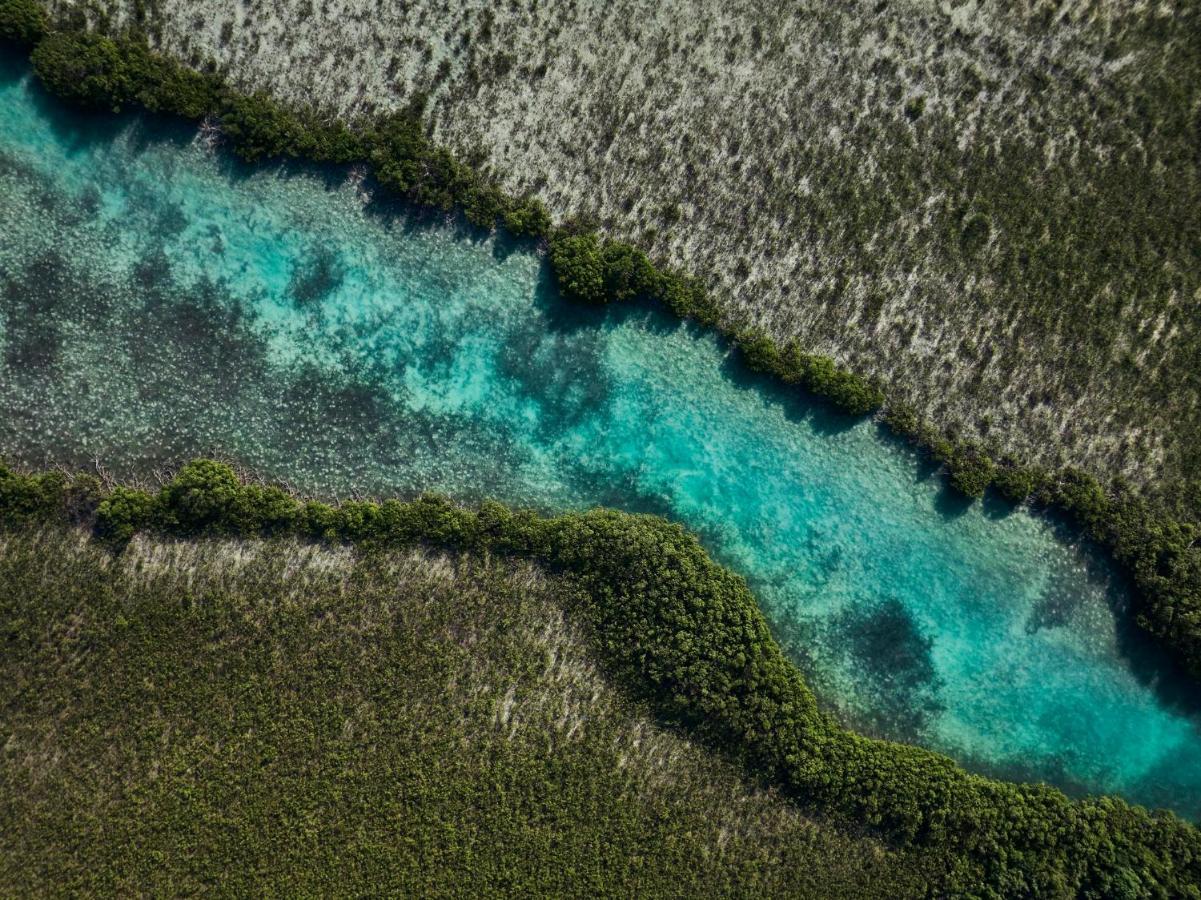 Como Parrot Cay Sandy Point Eksteriør billede